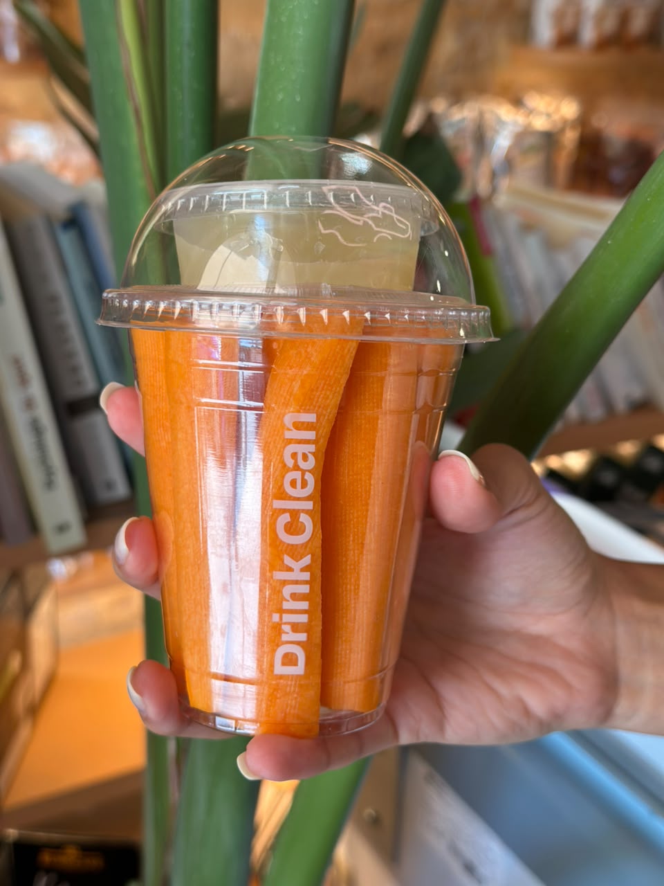 Carrot Summer Cup