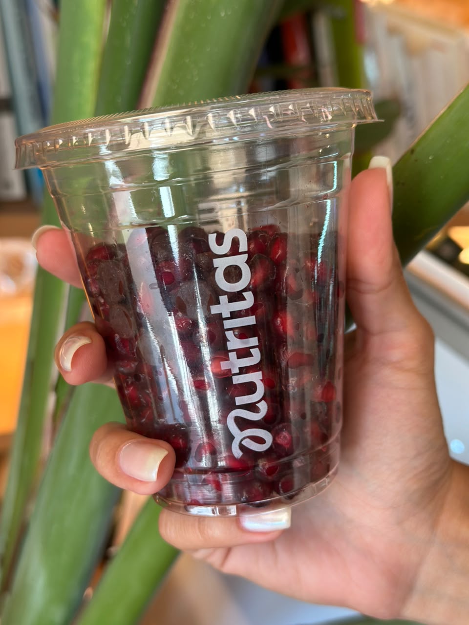 Pomegranate Summer Cup